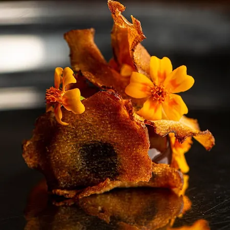 Balthazar Design Hotel